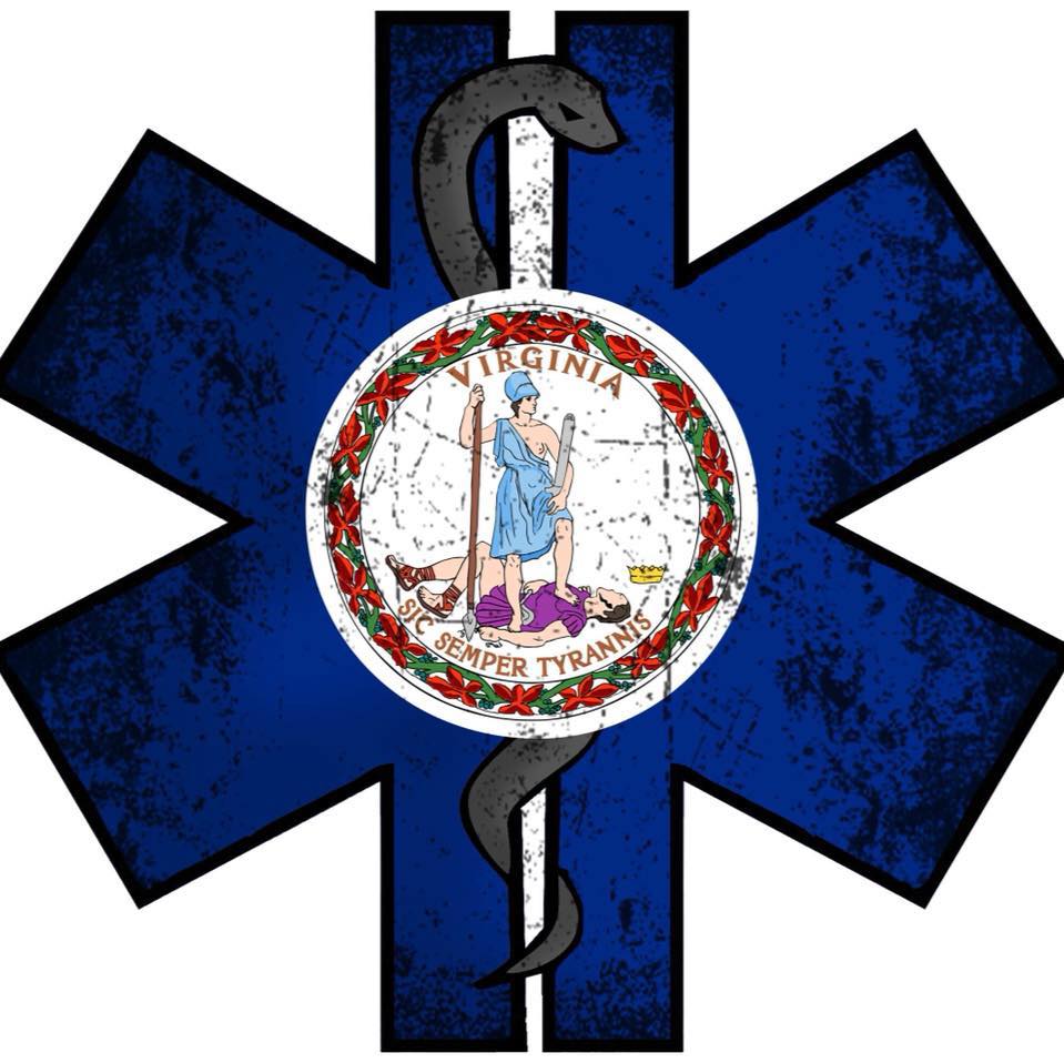 VAGEMSA Logo 2